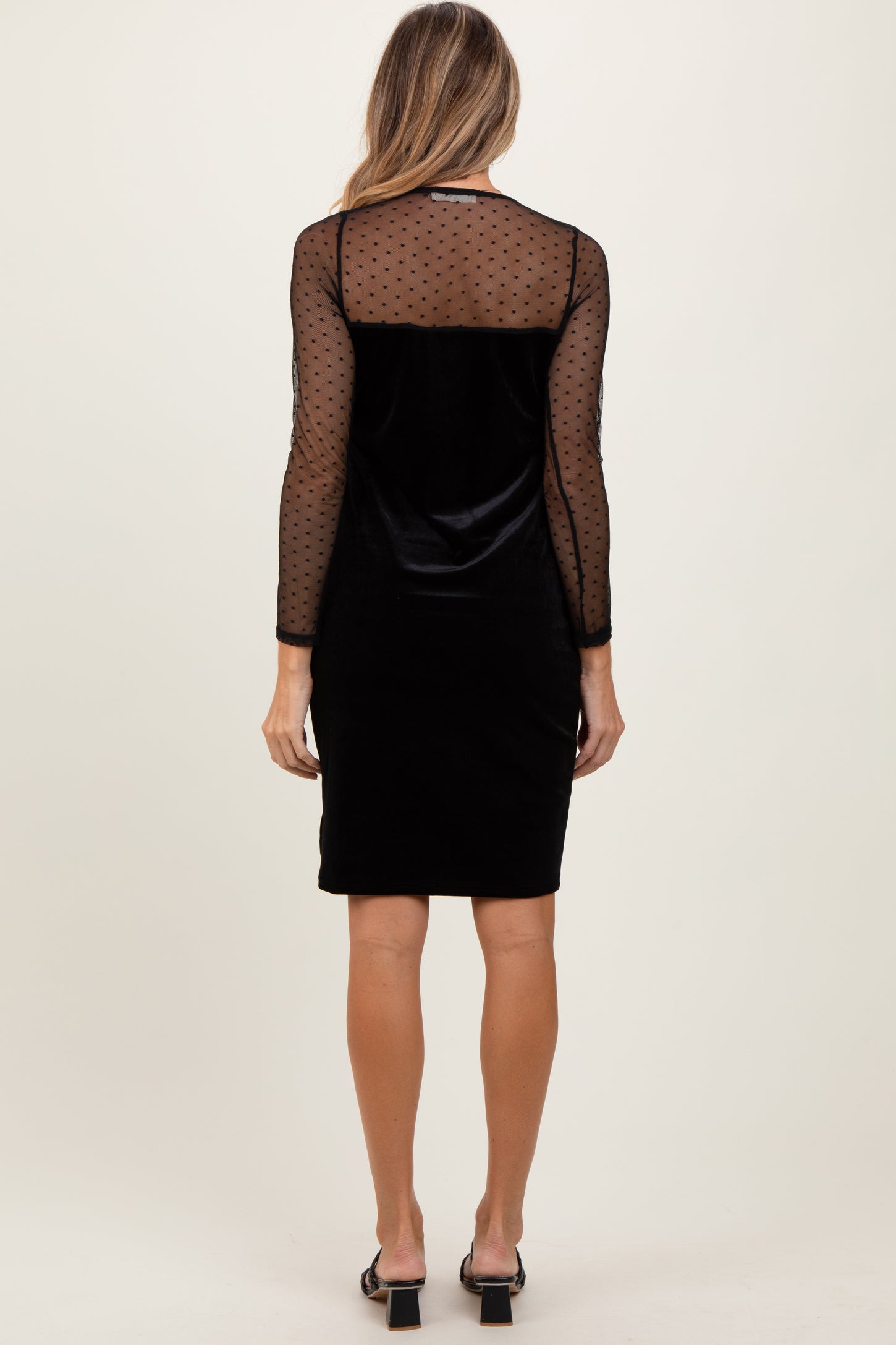 Black Velvet Embroidered Mesh Sleeve Dress Black Velvet Embroidered Mesh Sleeve Dress