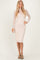 Beige Mesh Overlay Fitted Midi Dress