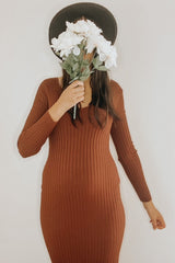Mocha V-Neck Long Sleeve Fitted Maternity Maxi Dress