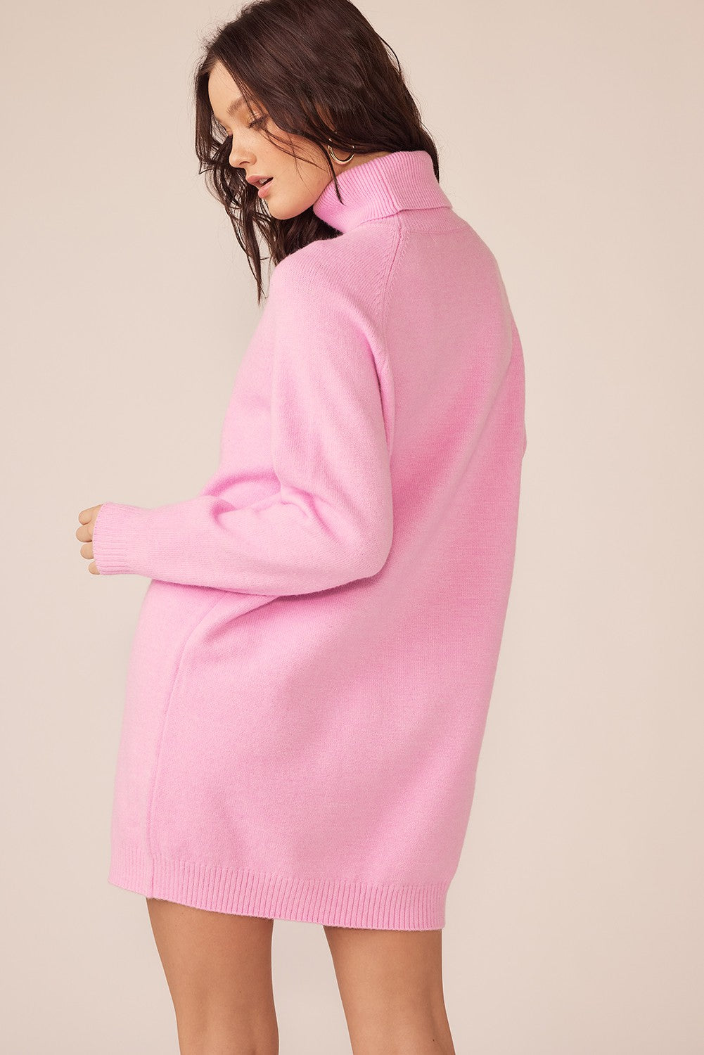 Pink Knit Long Sleeve Turtleneck Sweater Dress PinkBlush Pink Knit Long Sleeve Turtleneck Sweater Dress PinkBlush