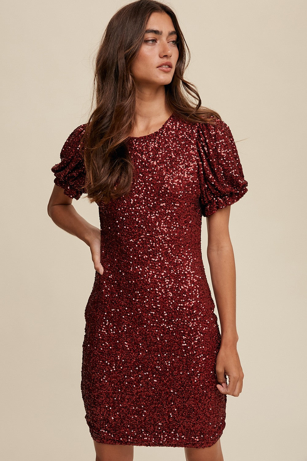 Burgundy Sequin Fitted Mini Dress PinkBlush Burgundy Sequin Fitted Mini Dress PinkBlush